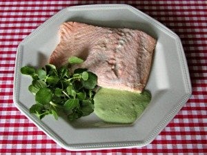 A white dinner plate with a piece of pink salmon with green sauce and parsley.