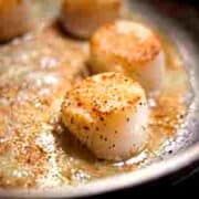 sauteed scallops