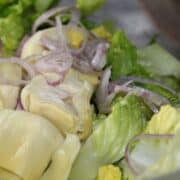 Cut up artichokes with slices of red onion.