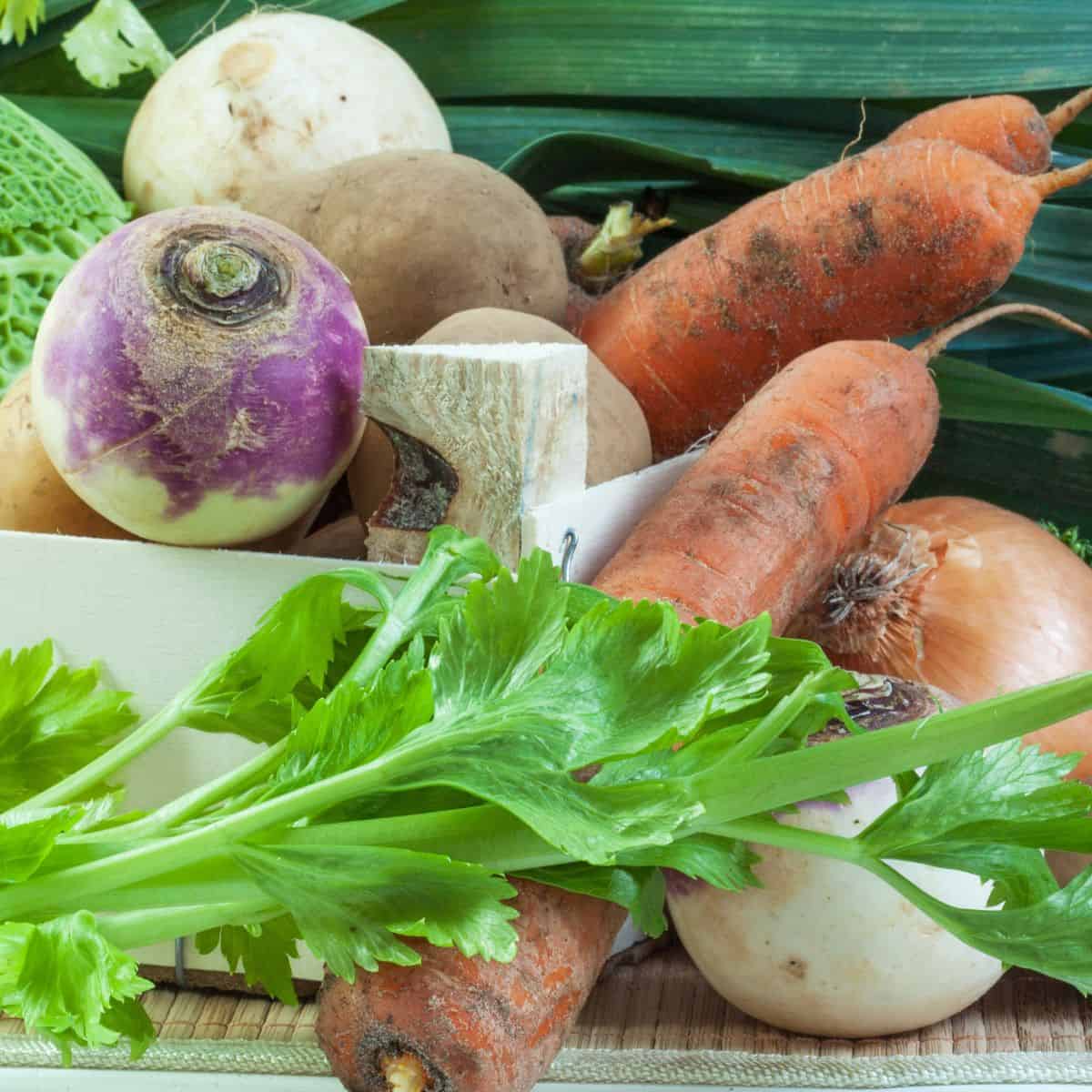 fresh-vegetables-for-stew