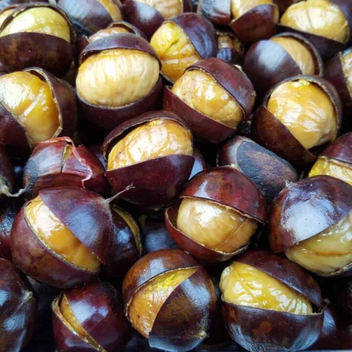 Roasted chestnuts, split, and ready to eat.