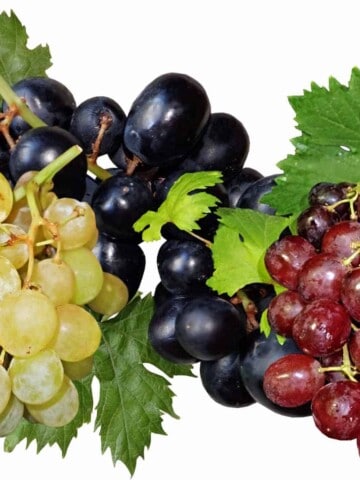 Three clusters of grapes, green, purple, and red, on white background.