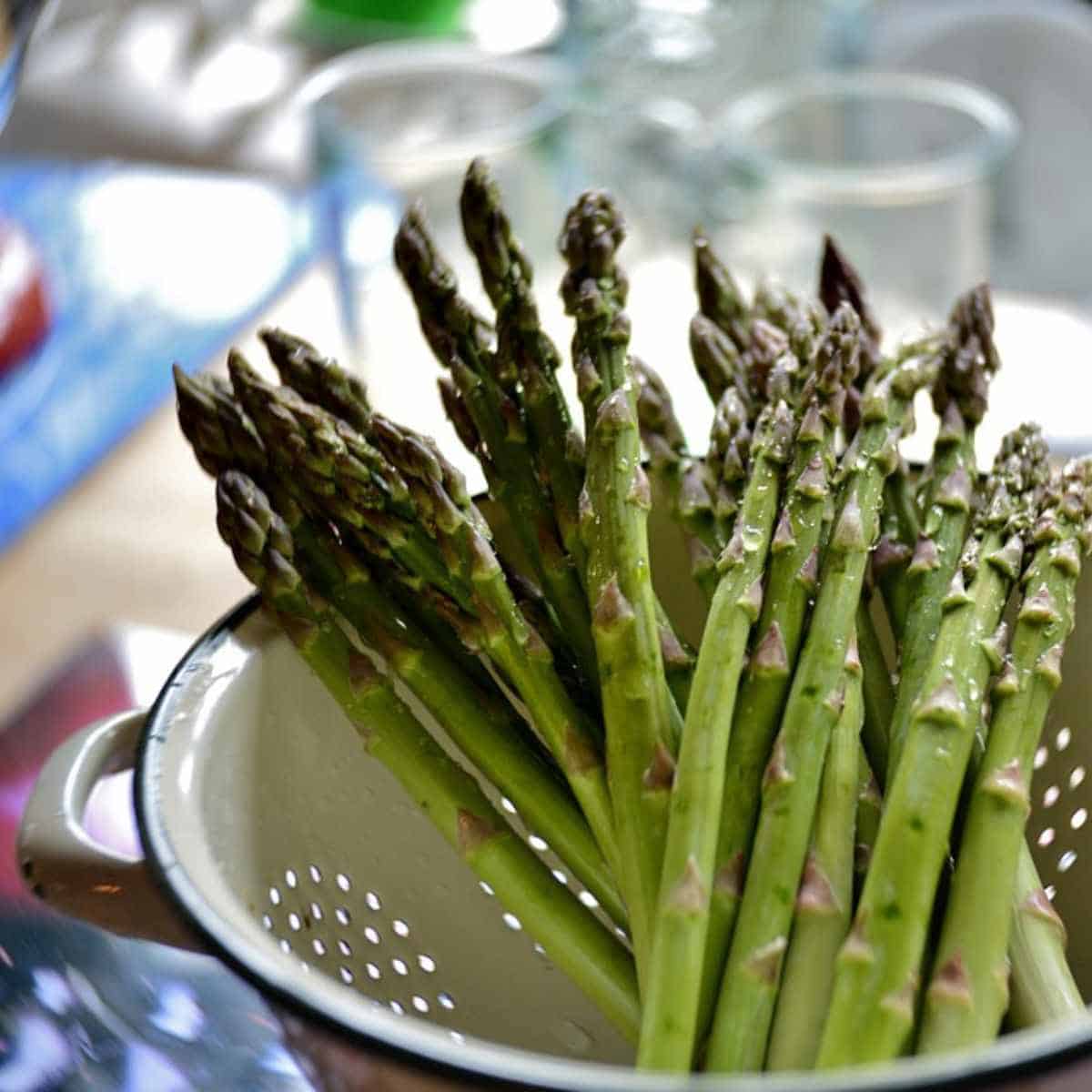 Multiple green spears of asparagus standing up in a white metal colander, over a sink with 2 glasses in the background.