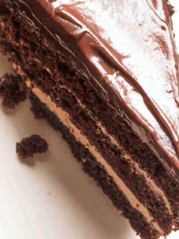 Chestnut cake with dark layers of cake with creamy chestnut filling covered in chocolate glaze icing on white surface.