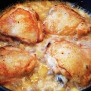 Four pieces of golden brown chicken thighs with apple, celery and onion chunks in bubbly creamy sauce.