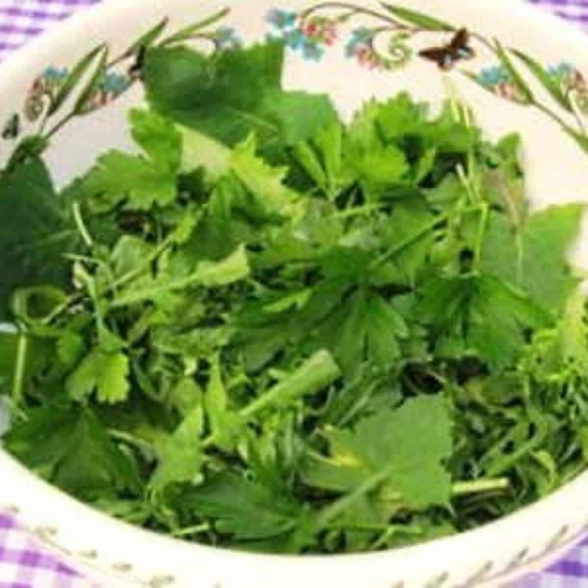 A white salad bowl with a floral trim filled with a variety of Provencal greens.