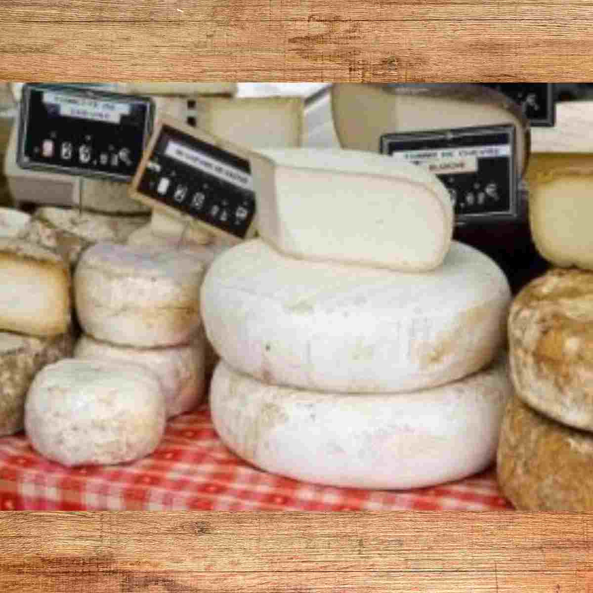 Several different wheels of various types of cheese from France some are white, yellow and light brown.