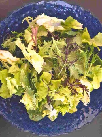 Blue glass bowl filled with various lettuce leaves of yellow, green, and purple shades.