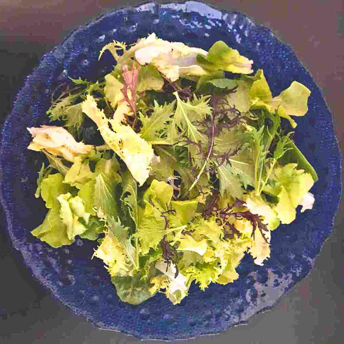 Blue glass bowl filled with various lettuce leaves of yellow, green, and purple shades.