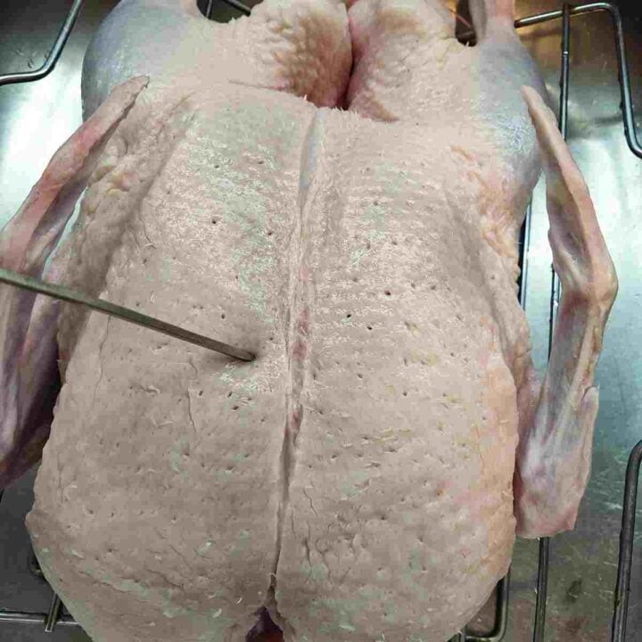 A raw duck with holes being poked in its white skin with a skewer.
