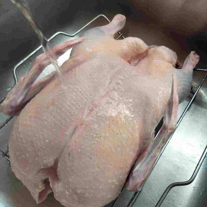 A raw white duck sitting in a sink with hot water being poured on its skin.