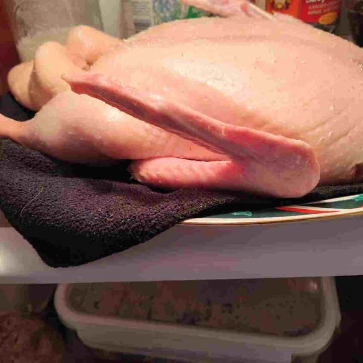A pink raw duck resting in the refrigerator.
