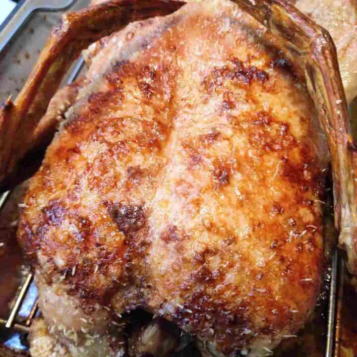 A roasted duck with golden brown shades of skin.