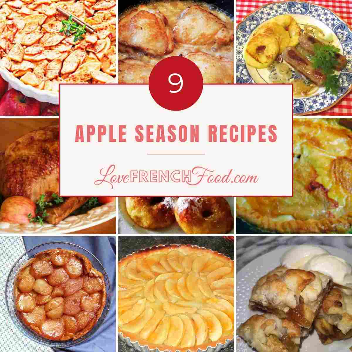 A square image with 9 photos of apple recipes and a white label with pink type.