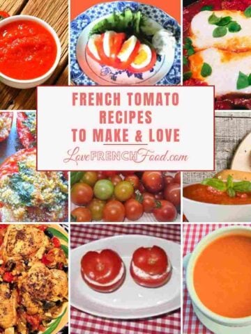 Colorful images of 9 French tomato recipes.