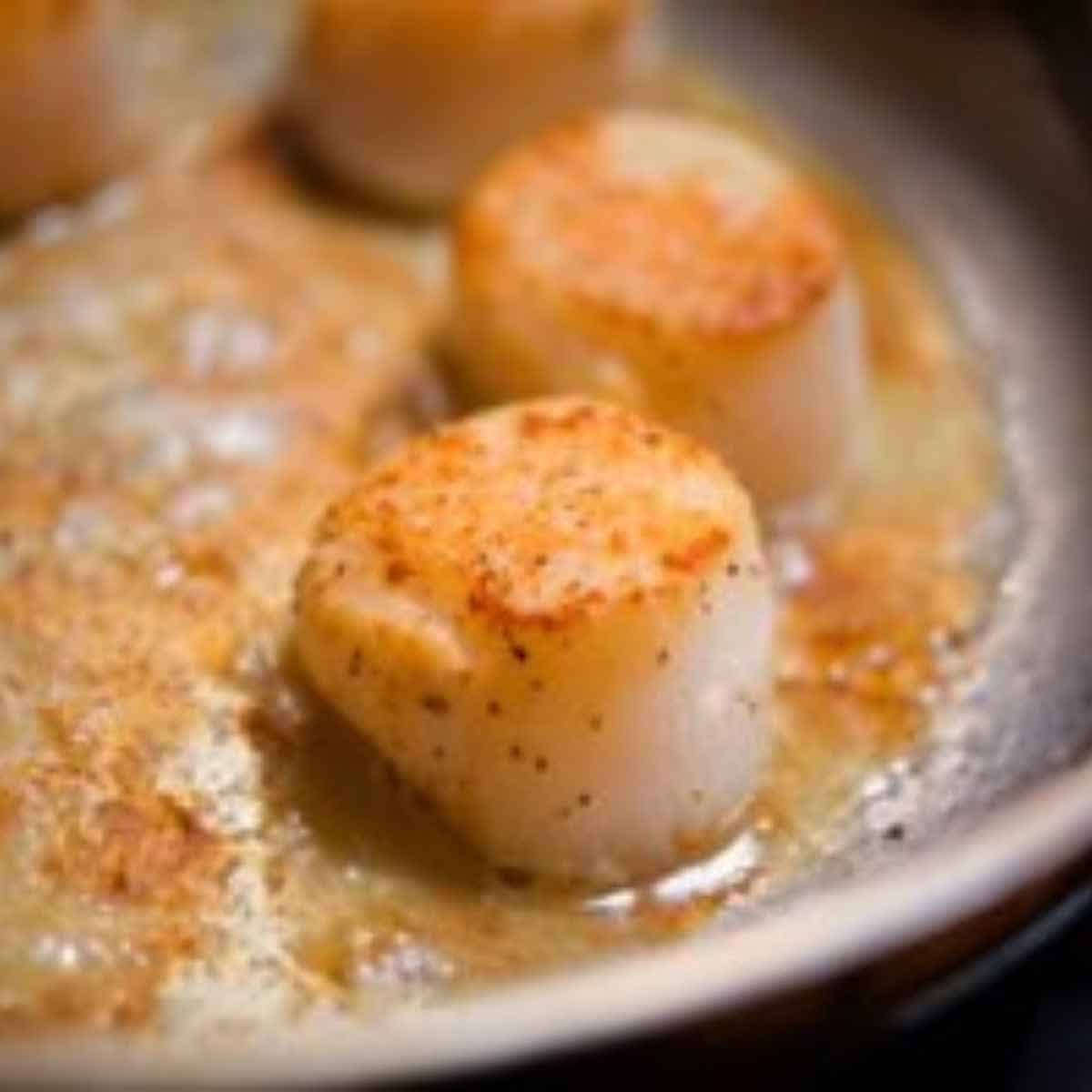 Fresh scallops sautéing in a non-stick fry pan with butter and flavoring.
