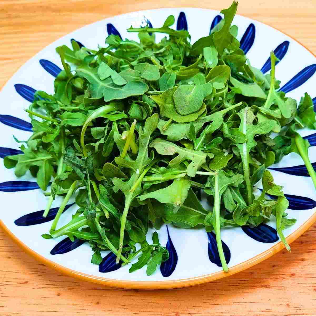 Rocket leaves washed, dried, and ready to serve.