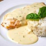 Chicken breast with tarragon cream sauce and white rice on the side.