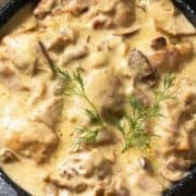Hot and bubbly chicken and mushrooms in cream sauce with white wine.