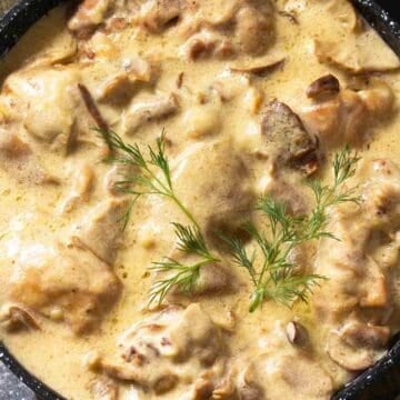 Hot and bubbly chicken and mushrooms in cream sauce with white wine.