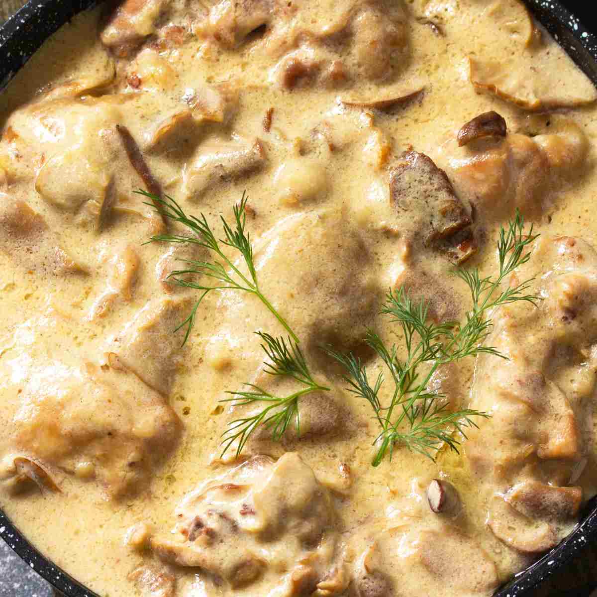 Hot and bubbly chicken and mushrooms in cream sauce with white wine.