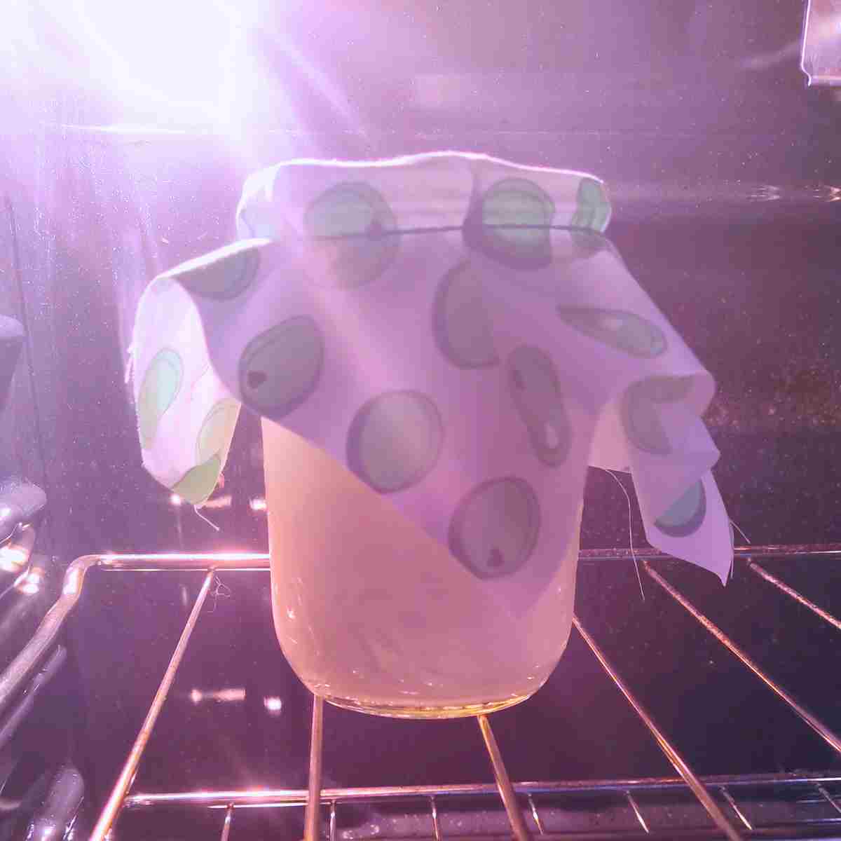 A jar of creme fraiche cultivating in the oven with just the oven light on.