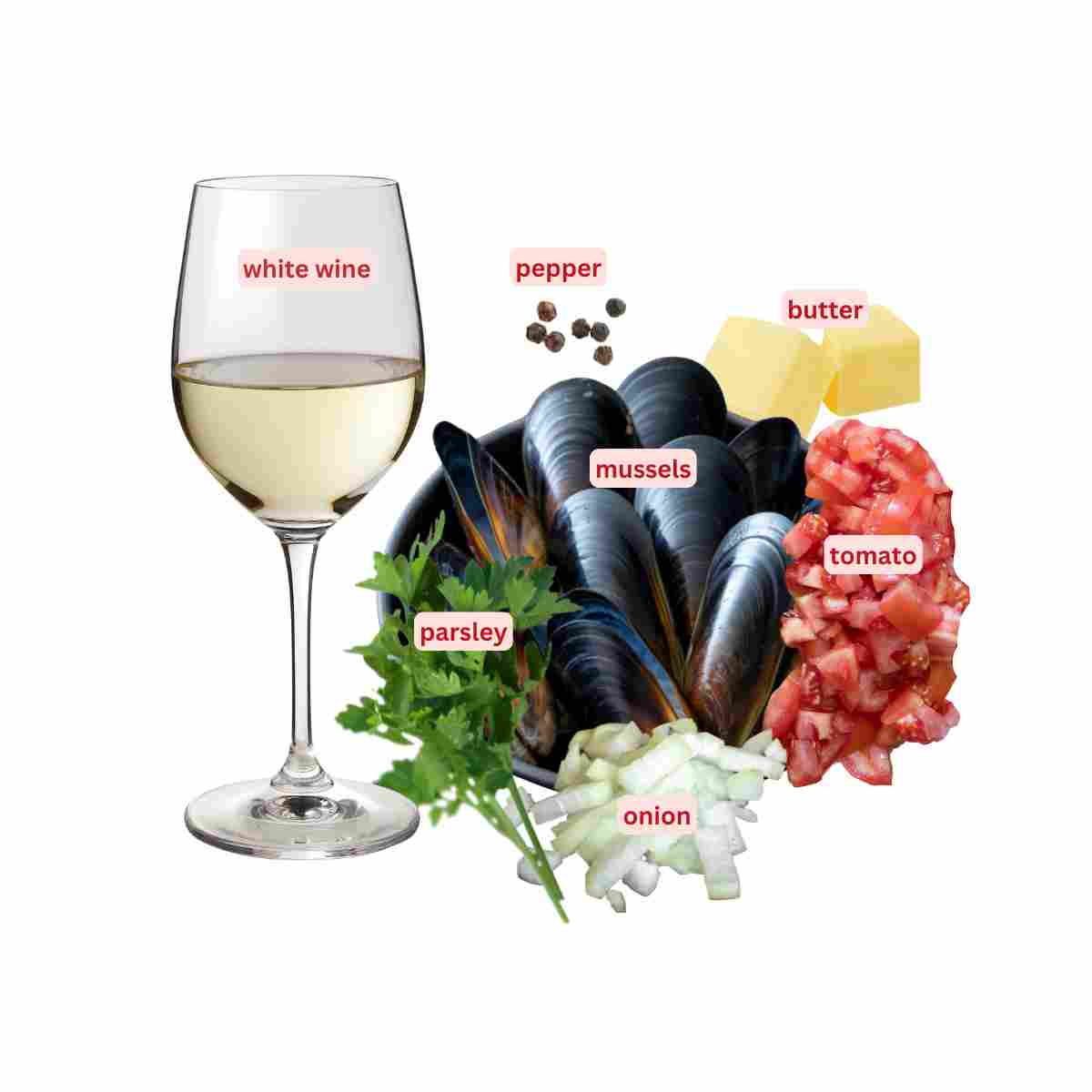 Labelled ingredient image for the seafood dish French mussel soup recipe.