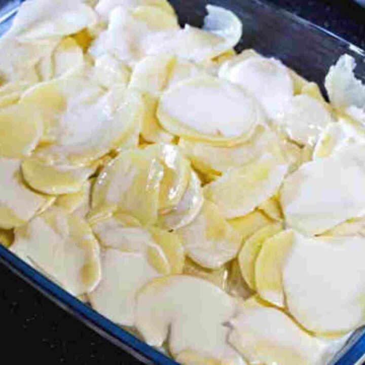 Potatoes au gratin in the baking dish ready for the oven.