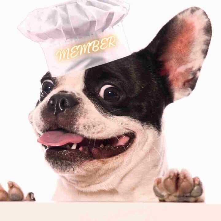 Our French cooking bulldog is a member of French Kitchen Friends.