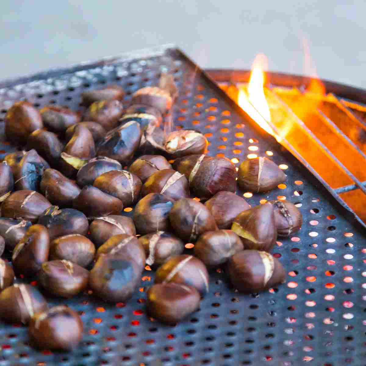 Roasting slit chestnuts on an open fire for a delicious treat.