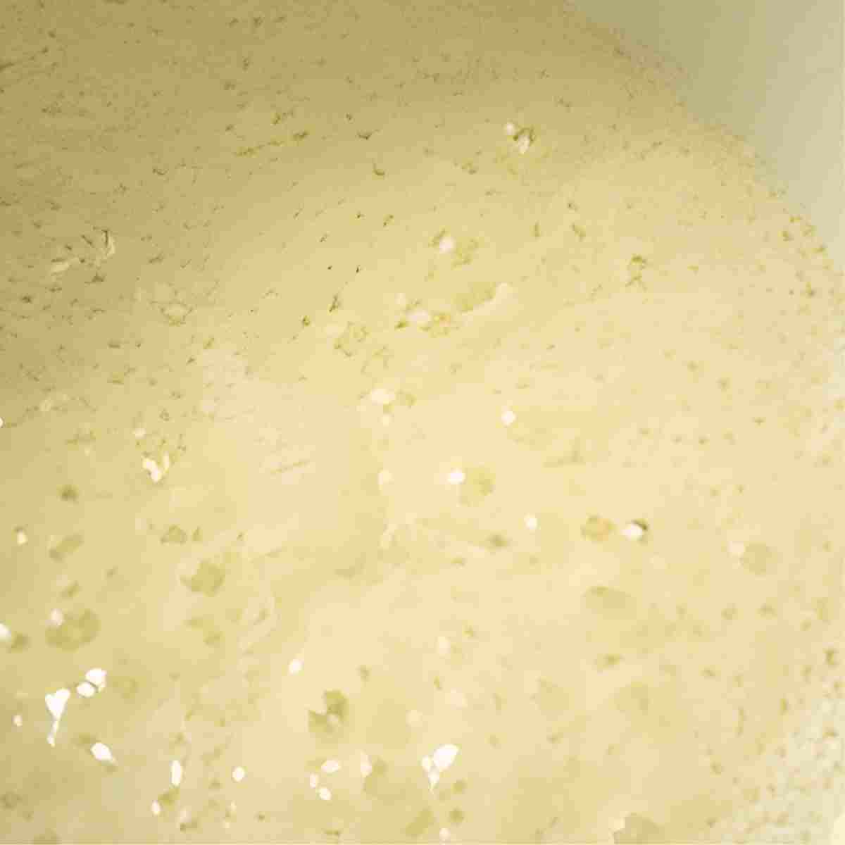 First rising which clearly shows bubbles and fermentation action working.