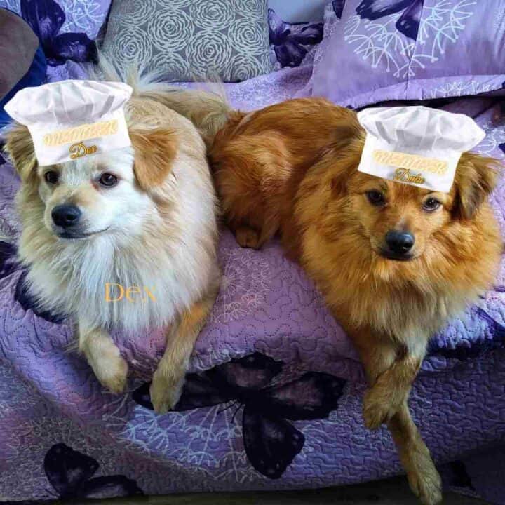 Very first members of our community French Kitchen Friends.