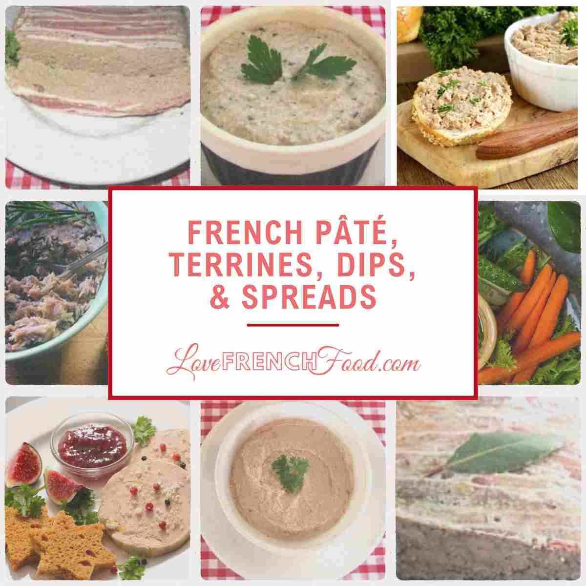 Easy hors d'oeuvres like French pâté, terrines, dips, and spreads.