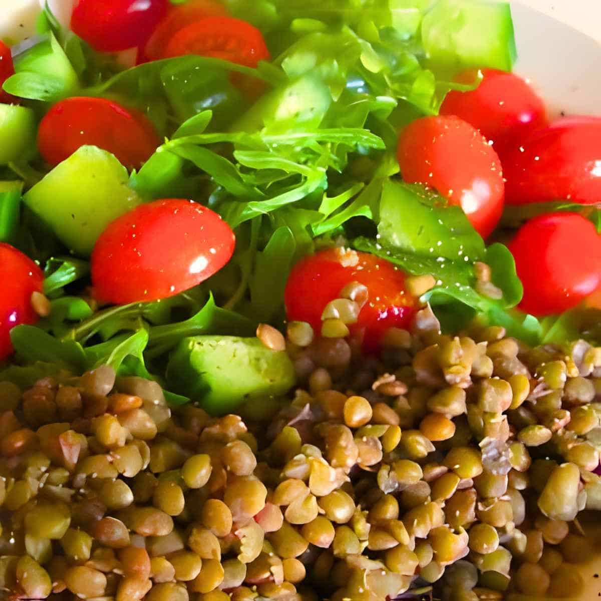 French lentil salad served alongside a tomato and lettuce salad.